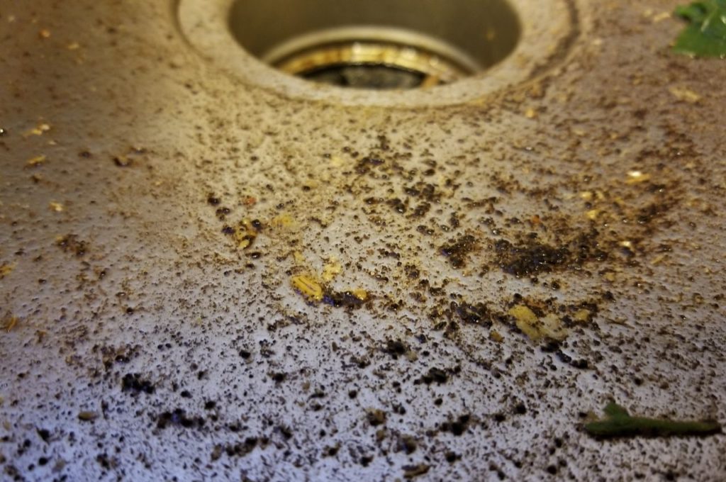 Avoid Putting Coffee Grounds into the Sink