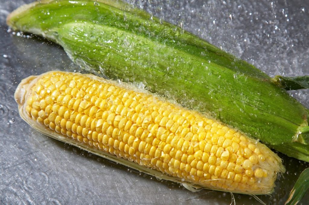Corn Husks Should Stay Out of the Waste Disposal