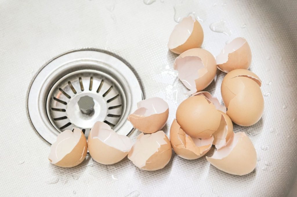 Don’t Put Eggshells in Waste Disposal Unit